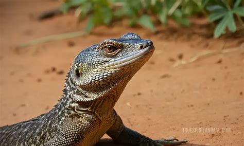 Dreaming of a Monitor Lizard: Symbolic Significance