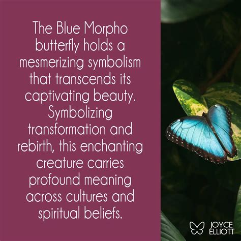 Dreaming of the Enigmatic Shadow Butterfly: Captivating Meanings and Symbolism