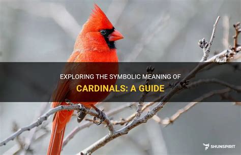 Dreaming of the Majestic Cardinal: Exploring the Symbolic Meaning