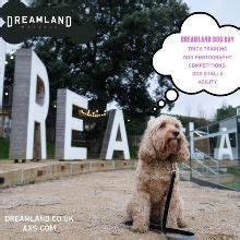 Dreamland: A Paradise for Canine Enthusiasts