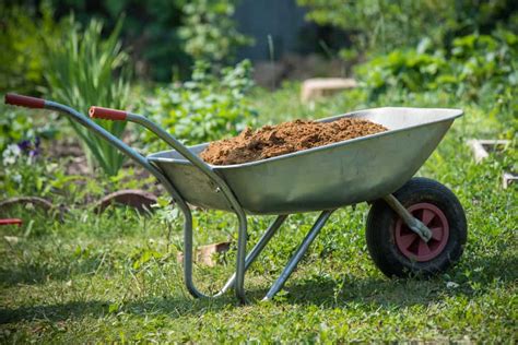 Dreams Interpretation: What Does Encountering a Wheelbarrow Signify?