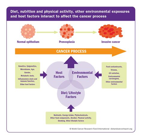 Dreams and their Connection to the Impact of Cancer