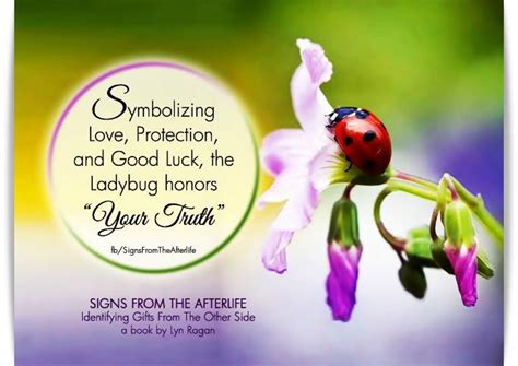 Dreams as a Portal to the Afterlife: Analyzing the Presence of a Ladybug