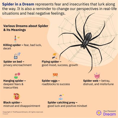 Dreams of Arachnids in Your Locks: What Do They Signify?