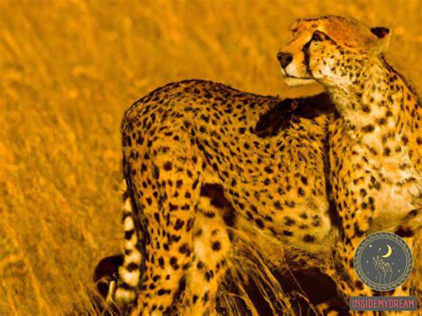 Dreams of Being Assaulted By a Cheetah: Decoding Their Significance