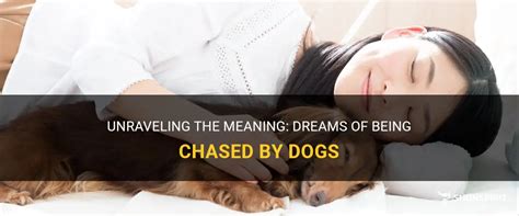 Dreams of Being Chased: Unraveling the Dread and Unease