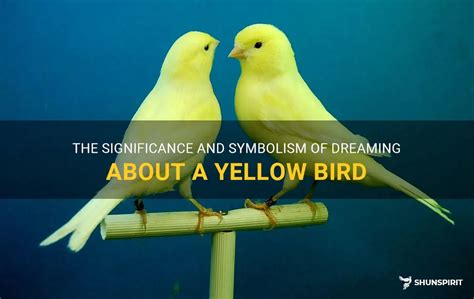 Dreams of Capturing a Yellow Bird: Exploring the Significance and Interpretation