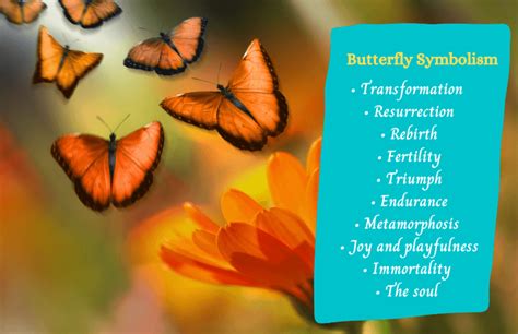 Dreams of Confrontation with a Delicate Butterfly: Importance and Symbolization