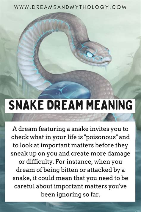 Dreams of Eliminating a Serpent: What Do They Signify?