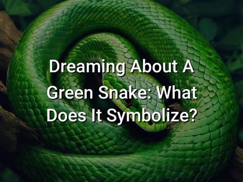 Dreams of Green Snakes: What Do They Symbolize?