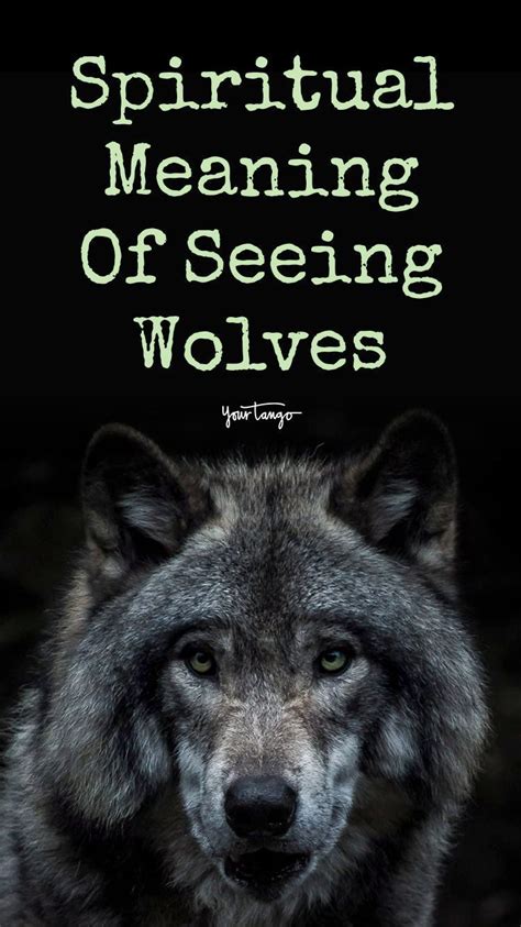 Dreams of Killing a Wolf: Symbolism and Interpretation