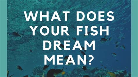 Dreams of Losing Fish: Decoding the Symbolism