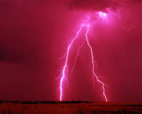 Dreams of Pink Lightning: An Enigmatic Wonder