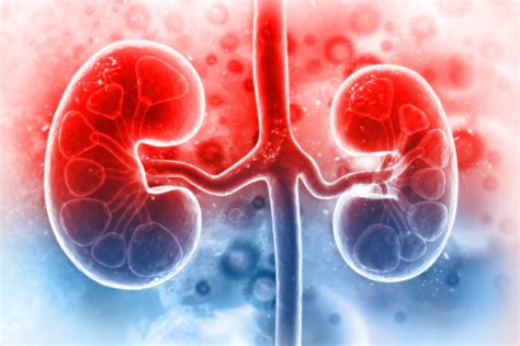 Dreams of Renal Dysfunction: Decoding the Symbolic Meaning