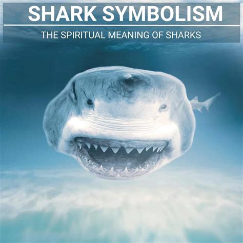 Dreams of Sharks: Exploring Their Symbolic Significance