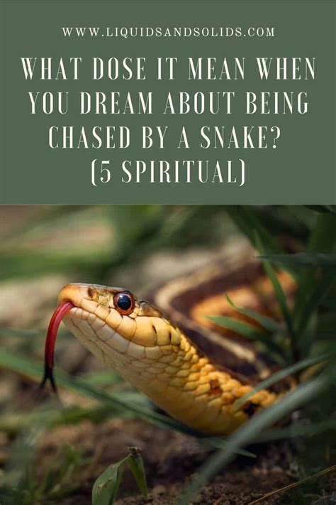 Dreams of Snakes Chasing and Biting: A Symbol of Fear and Intrigue