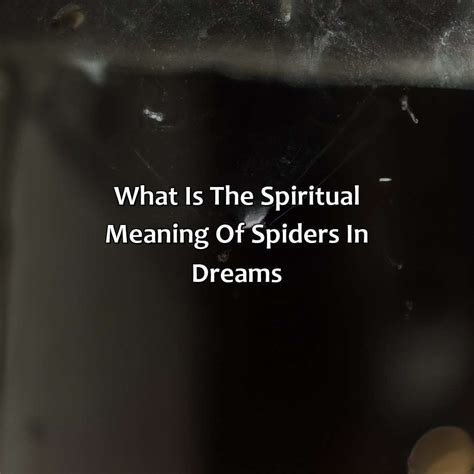 Dreams of Spider Birth: A Spiritual Perspective