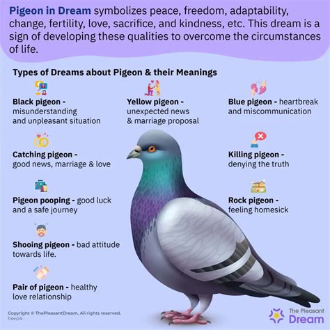 Dreams of Witnessing Pigeons: A Symbol of Freedom