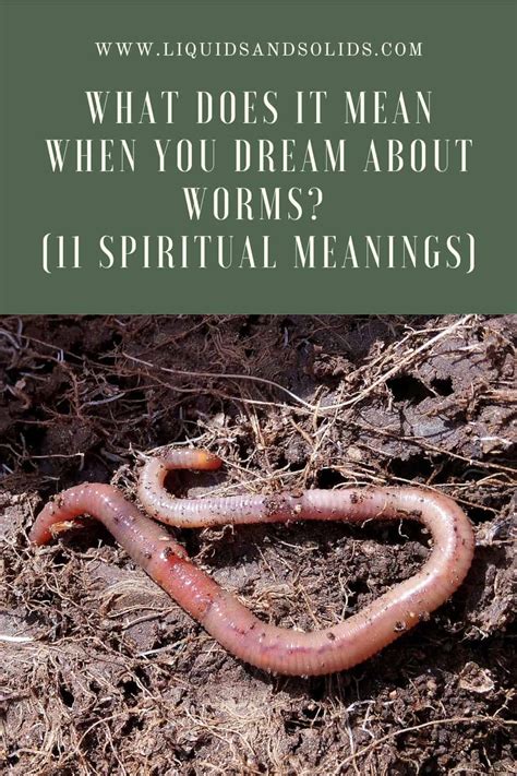 Dreams of Worms Emerging: A Symbolic Interpretation