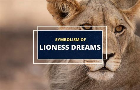 Dreams of a Lioness: The Emblem of Strength and Fearlessness