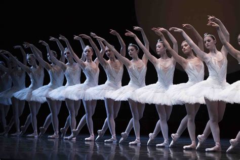 Dreams of the Fading Swan: Exploring the Symbolic Imagery and Elegance of Ballet's Timeless Masterpiece