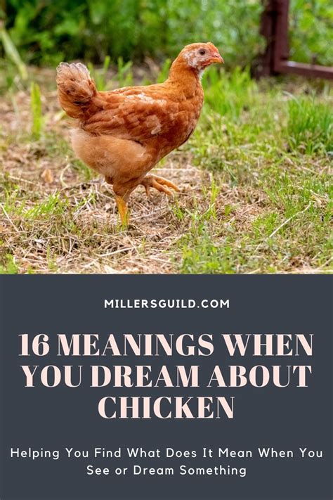 Dreams of the Rooster Chicken: A Glimpse into the Subconscious Mind