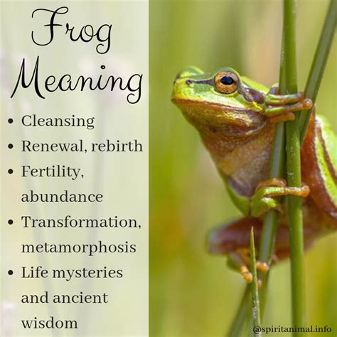 Dreams of the Tree Frog: Interpretations and Meanings