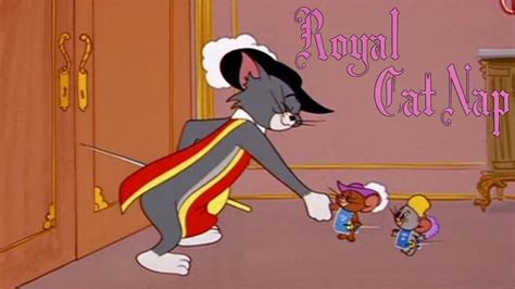 Early Life Story of the Royal Kitty