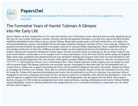 Early Life and Academic Background of the Accomplished Individual: A Glimpse into the Formative Years and Educational Journey