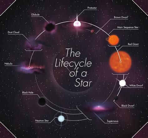 Early Life and Background of Sebriena Star