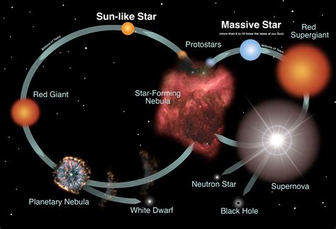 Early Life of the Dazzling Star