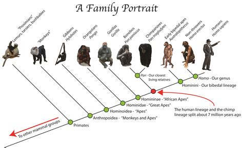 Early Years and Ancestral Background