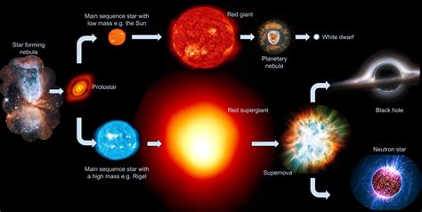 Early Years and Childhood of the Star