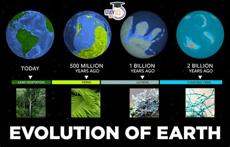 Early Years and Evolution in Time