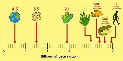 Early Years and Years on Earth