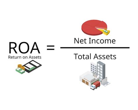 Earnings and Total Assets of Nika Flamy