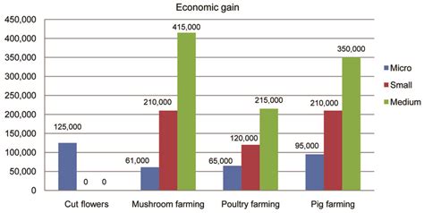 Earnings from her various enterprises