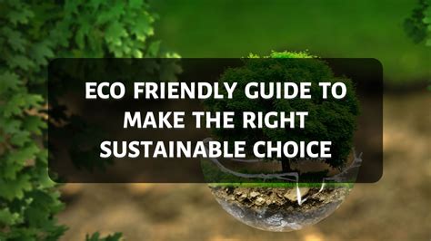 Eco-friendly Options: Making Sustainable Choices for a Better Future