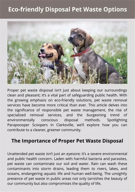 Eco-friendly Options for Disposing of Canine Waste