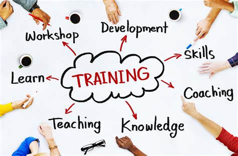 Education and Training in the Industry