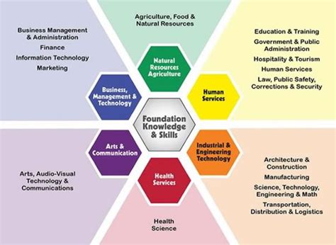 Education and career pathways of the talented individual