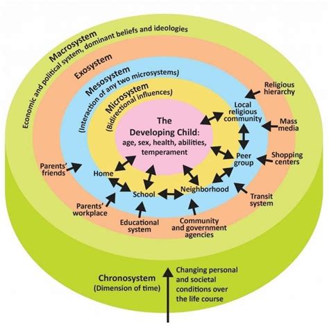 Educational journey and early influences