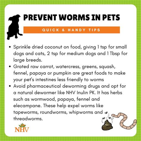 Effective Solutions to Combat Worm Infections in Canines