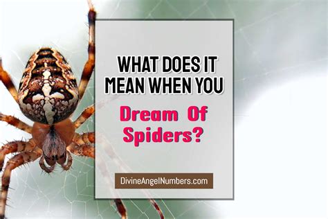 Effective Strategies for Addressing Disturbing Dreams of Spiders Moving on the Facial Area