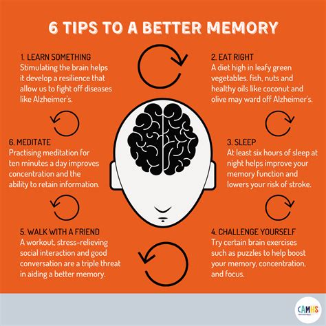 Effective Strategies for Improving Memory Retention and Recall