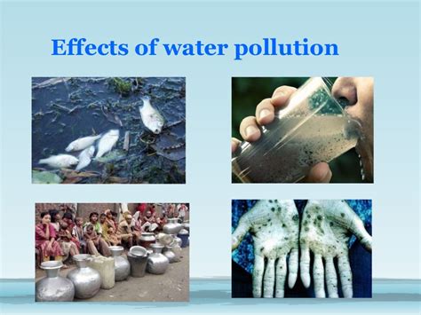 Effects of Ocean Pollution: Causes and Consequences