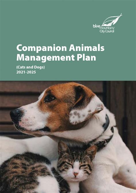 Efforts to Increase Awareness and Foster Responsible Ownership of Companion Animals