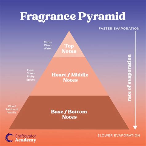 Embarking on a Fragrant Exploration: Unraveling the Perfume Pyramid