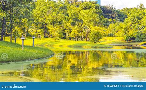 Embrace the Calmness: Explore the Serenity of Vast Meadows