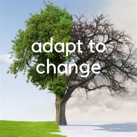 Embracing Change: Adapting to the Ever-Changing Nature of the Current Environment